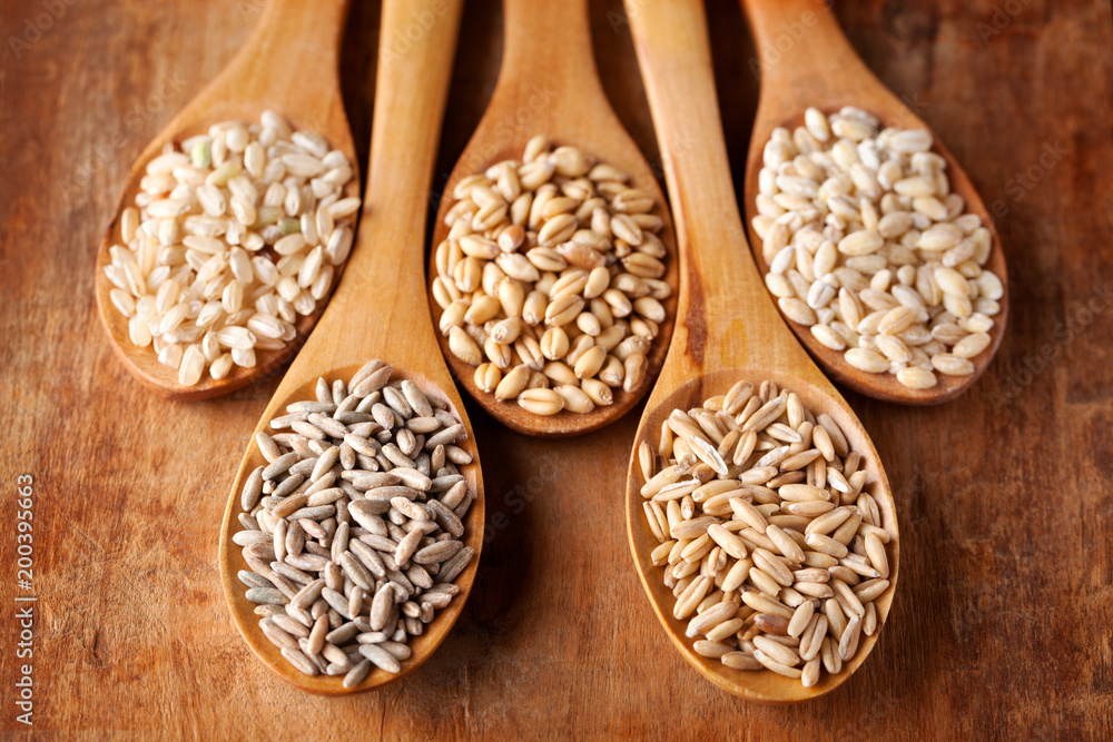 Grains and cereals in wooden spoons. Oats, wheat, rye, secale, barley, integral rice. - obrazy, fototapety, plakaty 