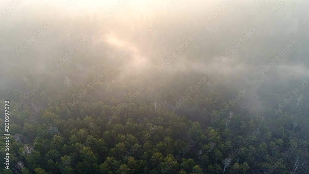 Morning Fog Formations over Forest, Aerial View Morning Fog Formations over Forest, Aerial View