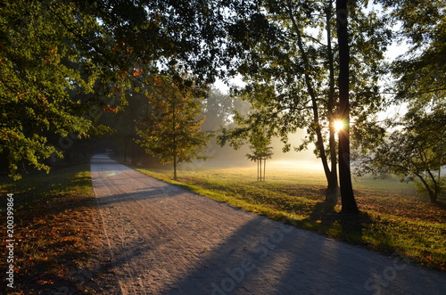 jesienny park o wschodzie słońca, Polska