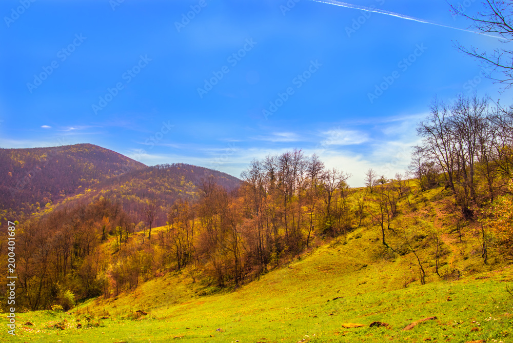 Fototapeta premium Kavak'ta doğa - Kavak - Samsun