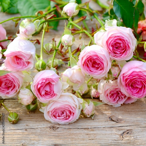 Grußkarte - Rosenstrauß Rom...