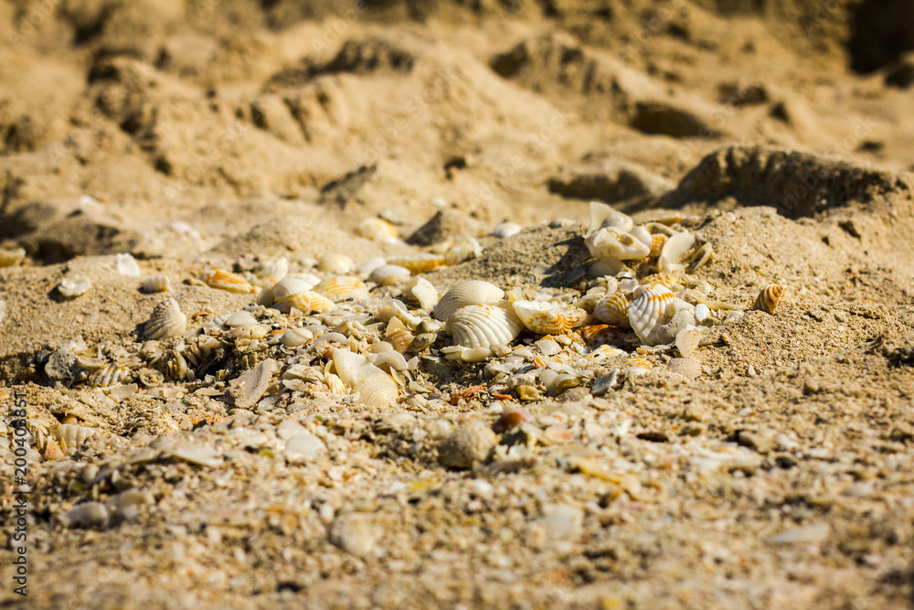 Sand am Strand mit Muscheln und Kies