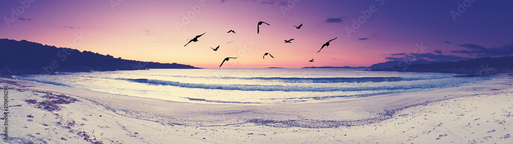 Fototapeta premium Insel - Strandpanorama