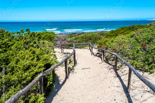 path towards the sea through the beach