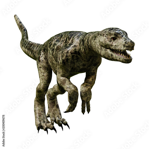 3D Rendering Dinosaur Tyrannosaurus Hatchling on White © photosvac