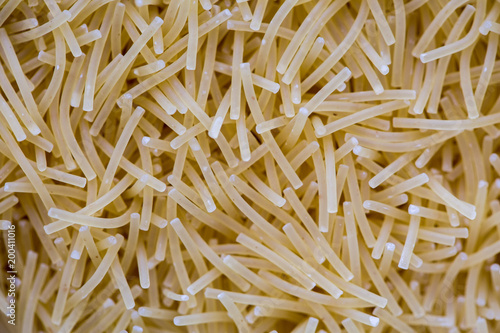 vermicelli noodle texture close up macro