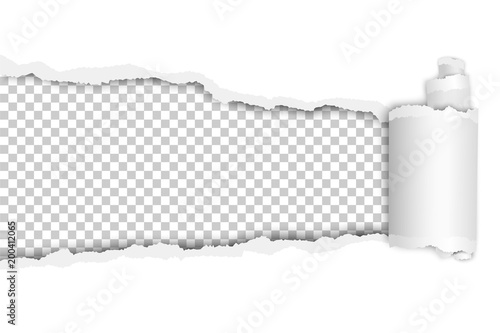 Torn long hole in sheet of transparent paper with shadow and wrapped paper curl. Vector template paper design.