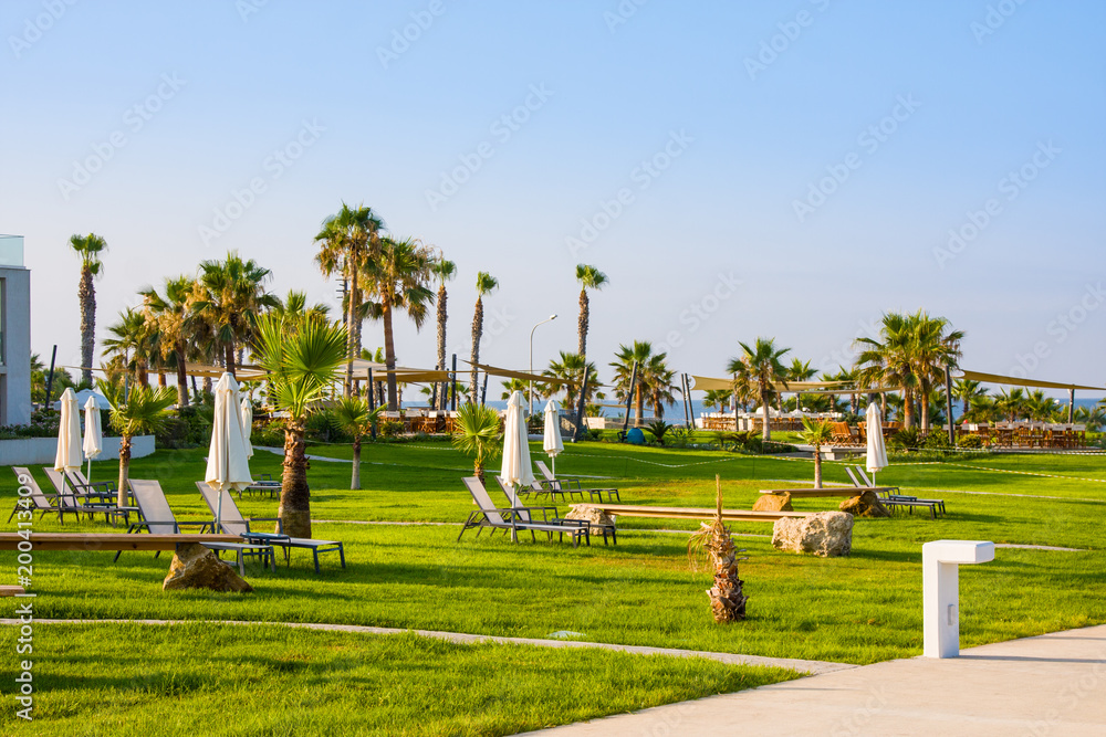 Obraz premium Palm beach with empty sunbeds near sea. Paphos, Cyprus