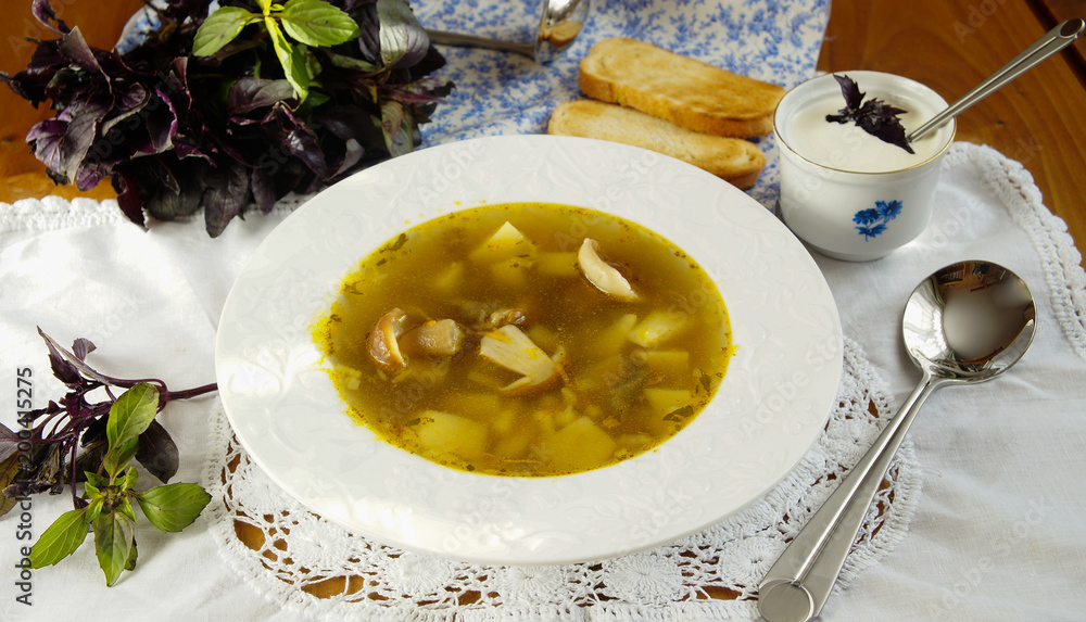 soup with porcini mushrooms soup with porcini mushrooms