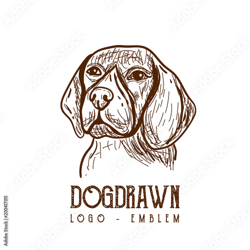Dog handdrawn, drawing dog