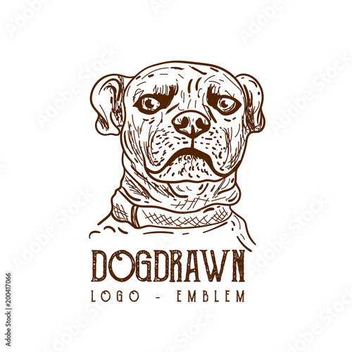 Dog handdrawn, drawing dog