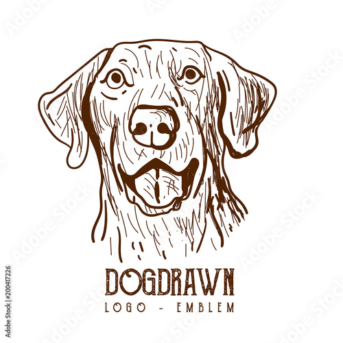 Dog handdrawn, drawing dog