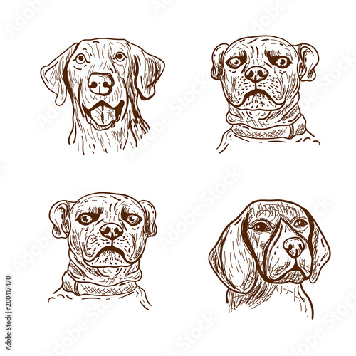 Dog handdrawn, drawing dog