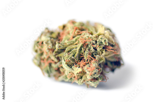 Medical marijuana bud isolated on white background. Therapeutic and medicinal cannabis weed
