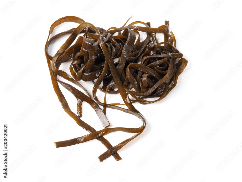 Thongweed – Sea thong – Sea spaghetti – Espagheti de mar

Sea spaghetti is a brown algae. Binomial name: Himanthalia elongata. It is an edible seaweed.