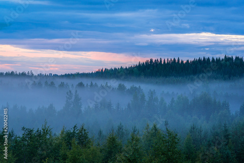 Misty summer night landscape with colorful cloudy sky © frozenmost