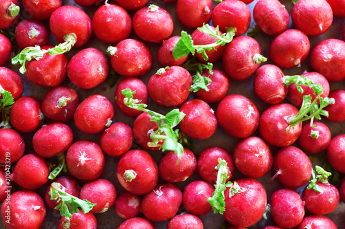 Top view of red radish with green leaves as colorful vegetables background.
