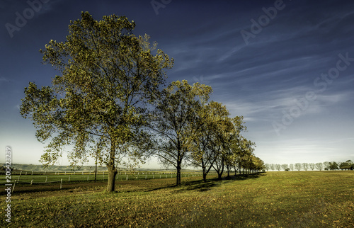 Summerveld 2