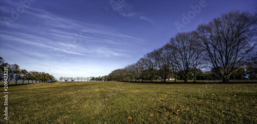 Summerveld 1
