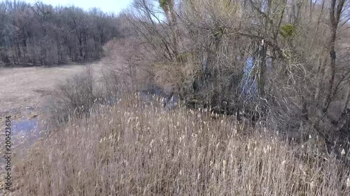 Wallpaper Mural drone low flies over the meadow and rises up above the trees makes a video, early spring. Torontodigital.ca