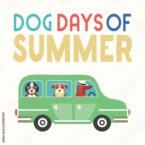 Time for adventure. Cute comic cartoon. Colorful humor retro style. Dogs go by bus to beach for fun leisure relax. Dog days of Summer time vacation journey. Vector tourist banner background template