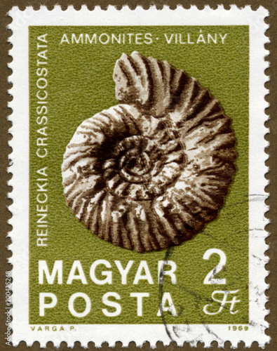 Ammonite Fossil Hungarian Postage Stamp photo