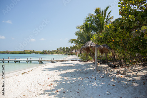 Fototapeta Naklejka Na Ścianę i Meble -  Tropical Caribbean Mexico Beach Life warm sand palm tree Contoy Island