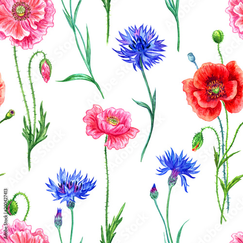 Seamless pattern of cornflowers and poppies, watercolor painting on white background. © Ollga P