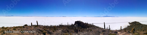 Salar de Uyuni view from Isla Incahuasi photo