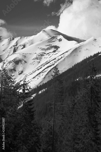 Fototapeta Naklejka Na Ścianę i Meble -  tatry