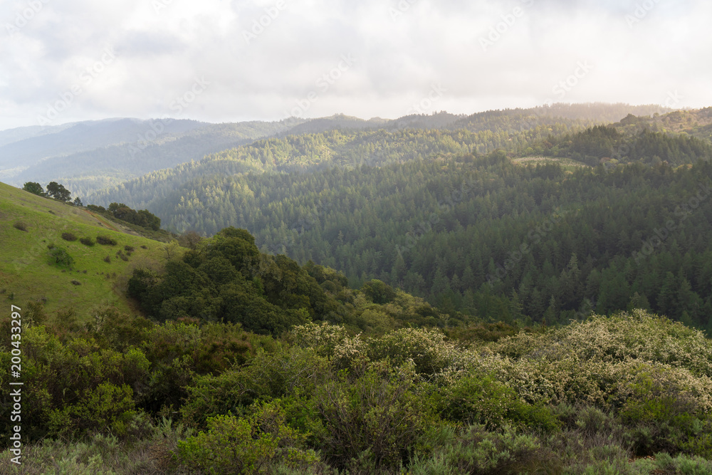 Afternoon sunlight hits the hazy hills of Monte Bello near Palo Alto after a morning rain storm