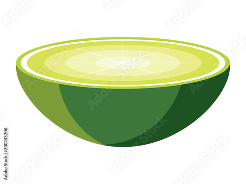 lemon slice icon over white background, colorful design. vector illustration