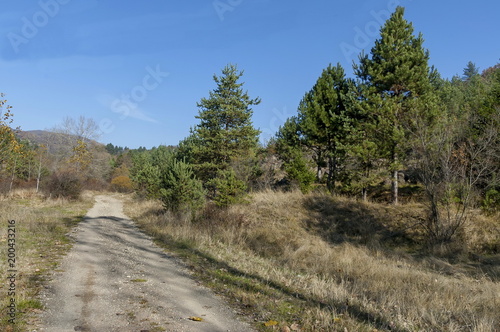 Landscape of autumnal nature with  mix forest, dirt road and dry glade in Balkan mountain, near village Lokorsko, Bulgaria  