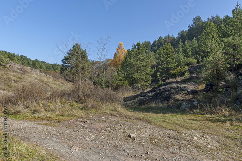 Landscape of autumnal nature with mix forest, dirt road and dry glade in Balkan mountain, near village Lokorsko, Bulgaria 