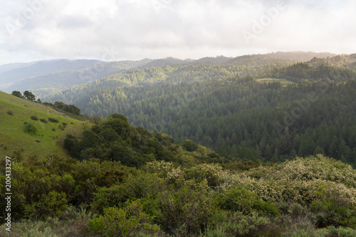 Afternoon sunlight hits the hazy hills of Monte Bello near Palo Alto after a morning rain storm © Jeremy Francis
