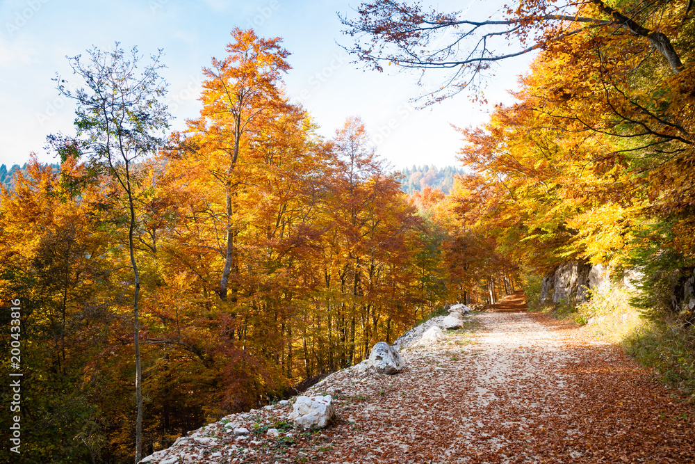 Obraz premium Autumn mountain landscape