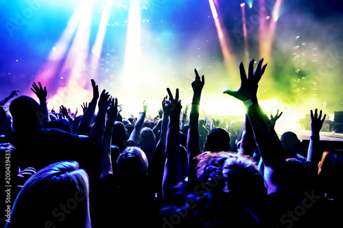 cheering crowd at a rock concert photo