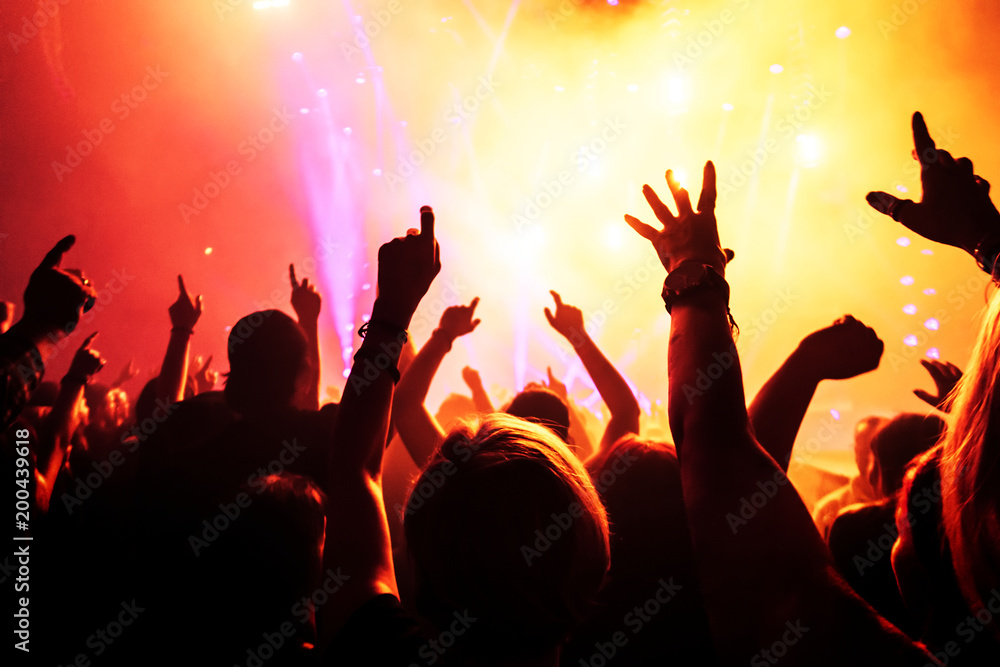 cheering crowd at a rock concert cheering crowd at a rock concert