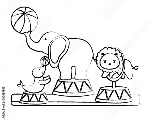sketch of show with circus animals over white background, vector  illustration Stock Vector | Adobe Stock