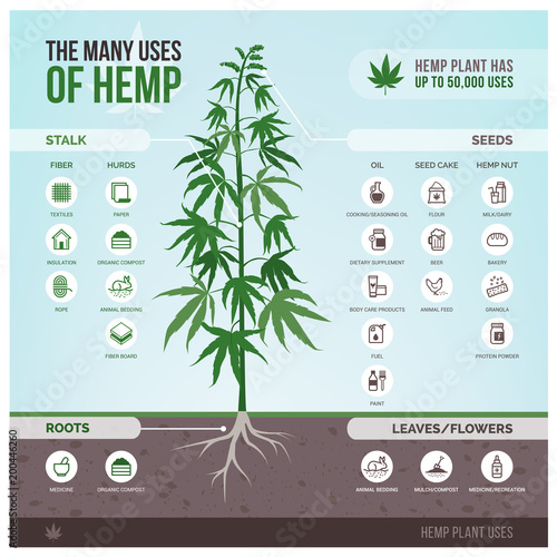 Industrial hemp uses and products photo