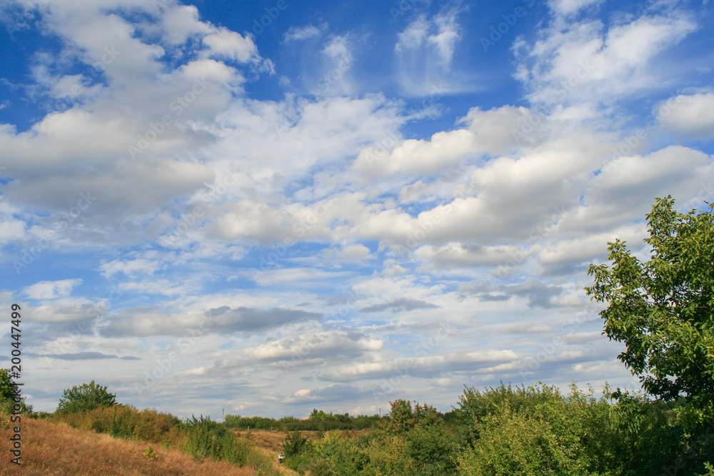 Fields with green herbs and blue sky with clouds Fields with green herbs and blue sky with clouds