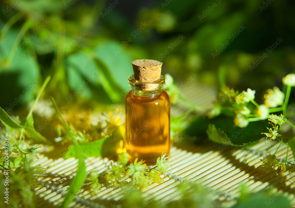 linden essential oil in beautiful bottle on table linden essential oil in beautiful bottle on table