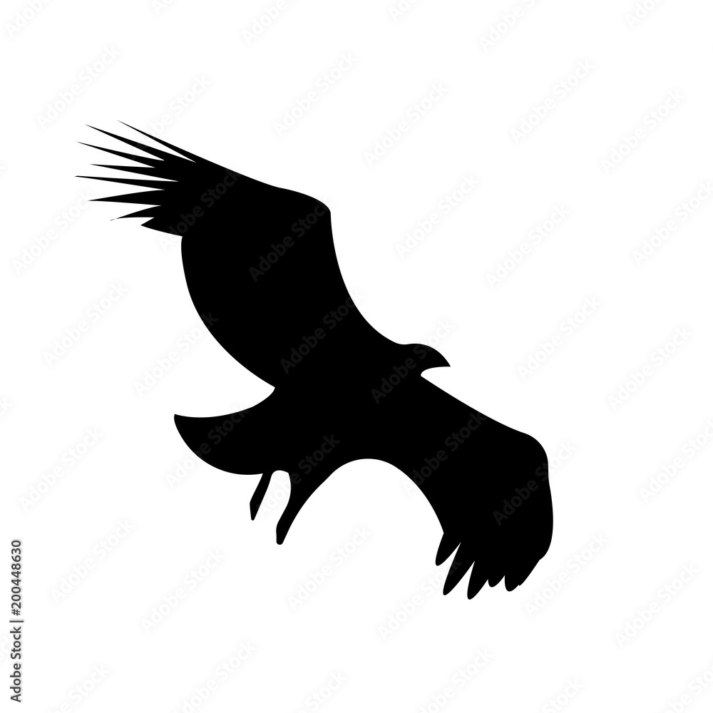 vulture silhouette on white background, in black vulture silhouette on white background, in black