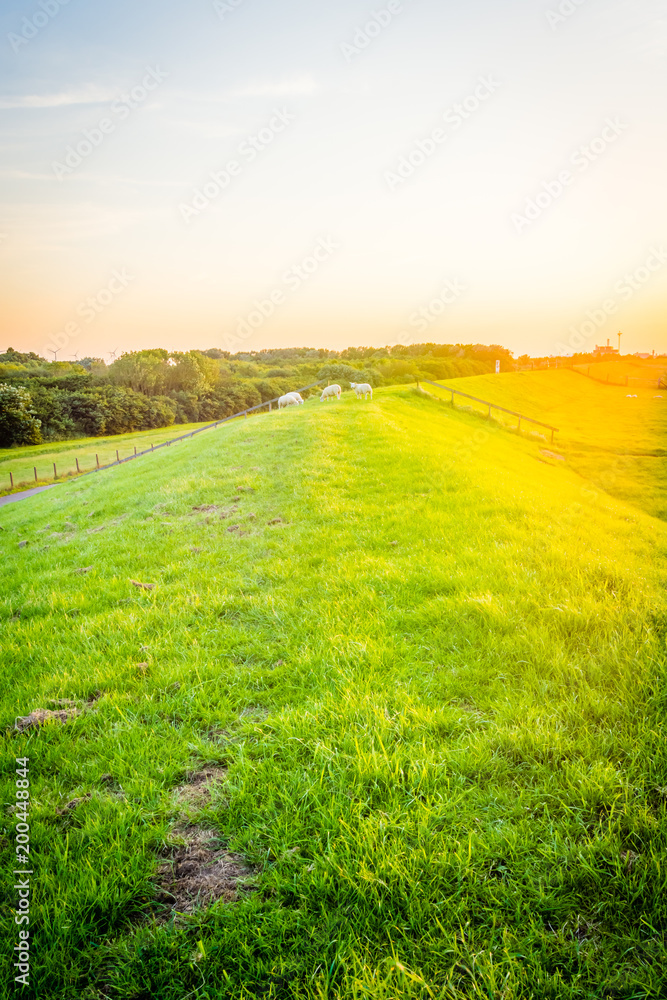 Obraz premium Harlingen - Netherlands