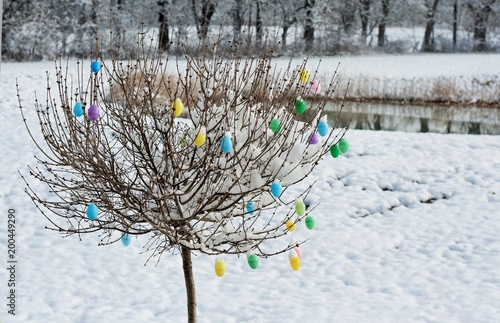 plastic easter eggs hanging on tree in april snow