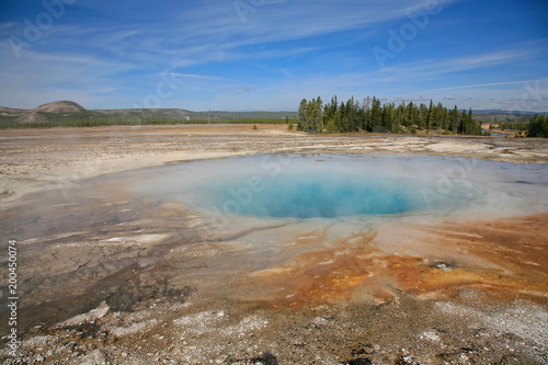 Emerald Spring, a hot volcanic pool at Norris Geyser Basin