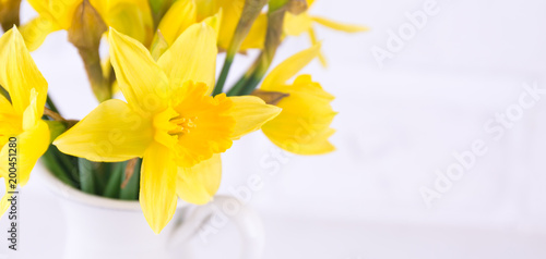 Fototapeta Naklejka Na Ścianę i Meble -  Jar with narcissuses at the white background. Spring, mothers day and easter concept