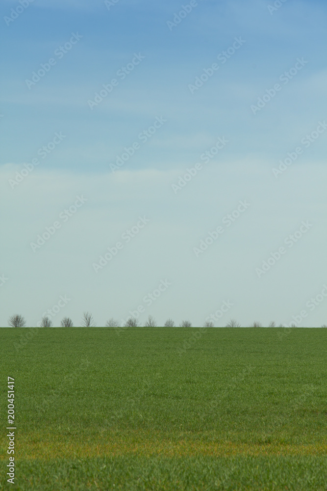 Spring green field meadow with blue sky with horizon, minimalist natural background.