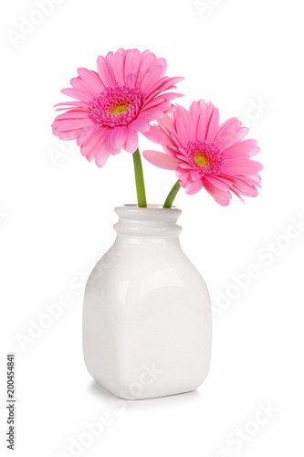 Fototapeta Naklejka Na Ścianę i Meble -  Pink Gerber daisy flowers in a bottle style vase, isolated on a white background