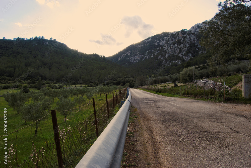 SUNNY COUNTRY ROAD